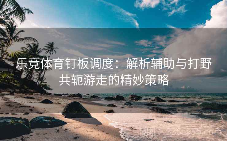 乐竞体育钉板调度：解析辅助与打野共轭游走的精妙策略