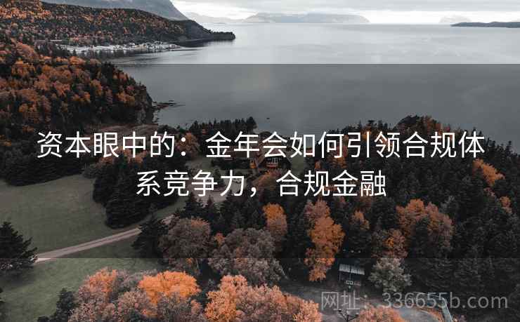 资本眼中的：金年会如何引领合规体系竞争力，合规金融