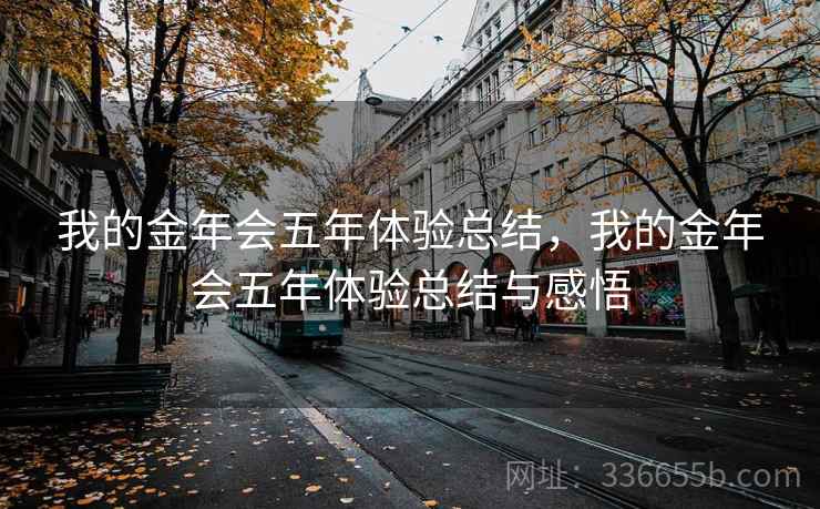 我的金年会五年体验总结，我的金年会五年体验总结与感悟